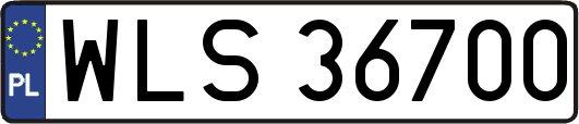 WLS36700