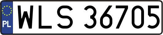 WLS36705