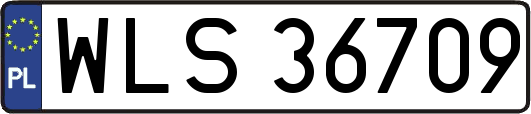 WLS36709