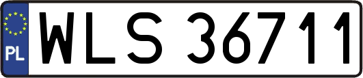 WLS36711