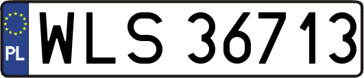 WLS36713