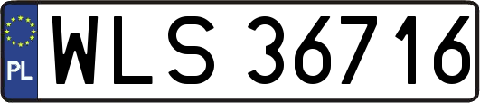 WLS36716