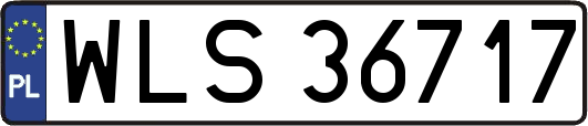 WLS36717
