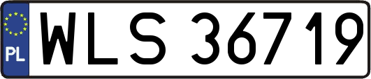 WLS36719
