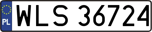 WLS36724