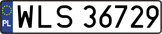 WLS36729