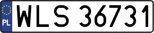 WLS36731