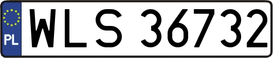 WLS36732