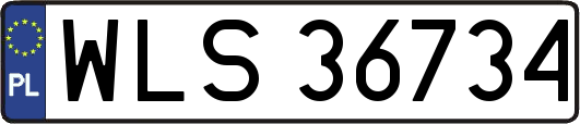 WLS36734