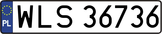 WLS36736