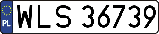 WLS36739