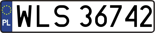 WLS36742