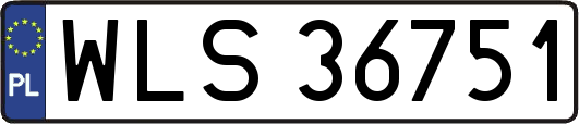 WLS36751