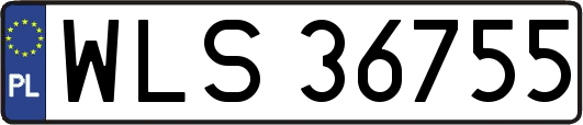 WLS36755