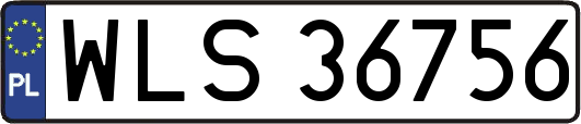 WLS36756