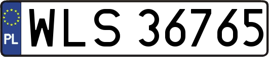 WLS36765