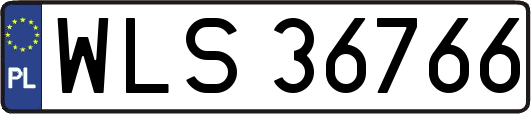 WLS36766