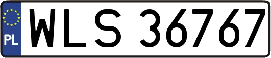 WLS36767