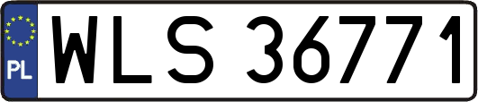 WLS36771