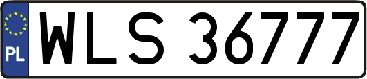 WLS36777