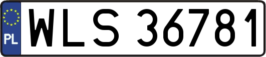WLS36781