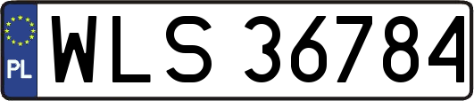 WLS36784