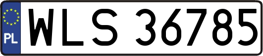 WLS36785