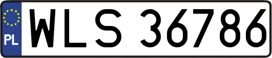 WLS36786