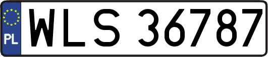WLS36787