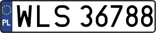 WLS36788