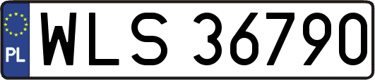 WLS36790