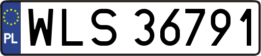 WLS36791