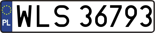 WLS36793