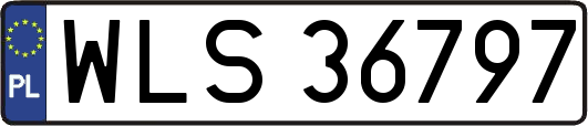 WLS36797