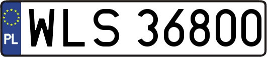 WLS36800