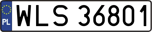 WLS36801