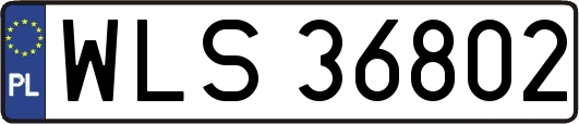 WLS36802