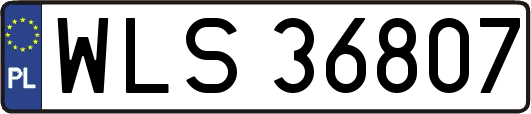 WLS36807