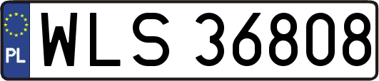 WLS36808