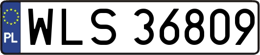 WLS36809
