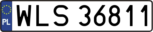 WLS36811