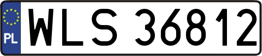 WLS36812