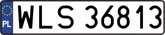 WLS36813