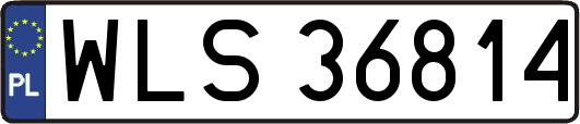 WLS36814