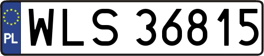 WLS36815