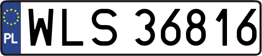 WLS36816