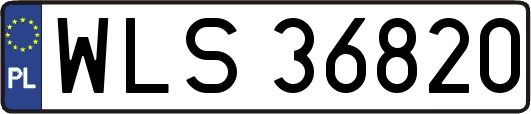 WLS36820