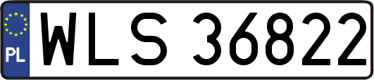 WLS36822
