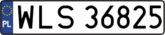 WLS36825