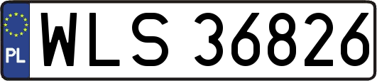 WLS36826